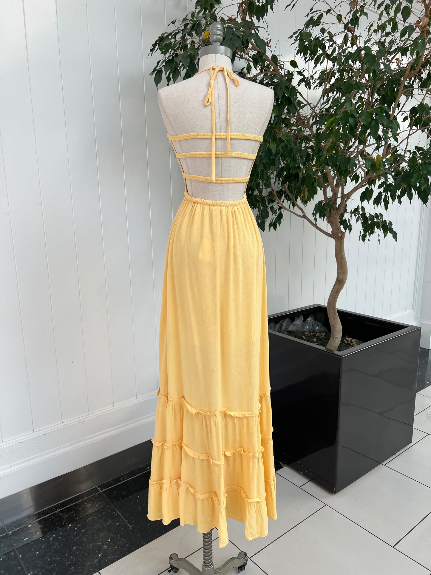 Summer Picnics Dress